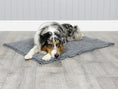 Load image into Gallery viewer, George Barclay MuttMop Deluxe Dry Mat Grey
