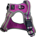Load image into Gallery viewer, Hem & Boo Sports Harness
