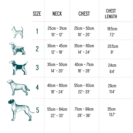 Twiggy Tags Adventure Harness Tranquil