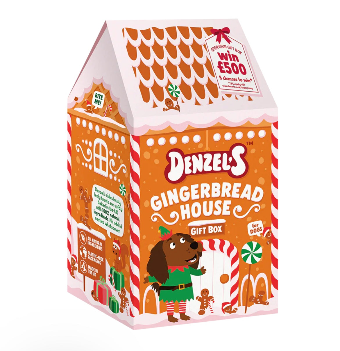 Denzel's ChristmasGingerbread House Gift Box