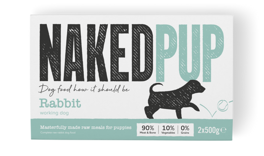 Naked Dog Puppy Rabbit