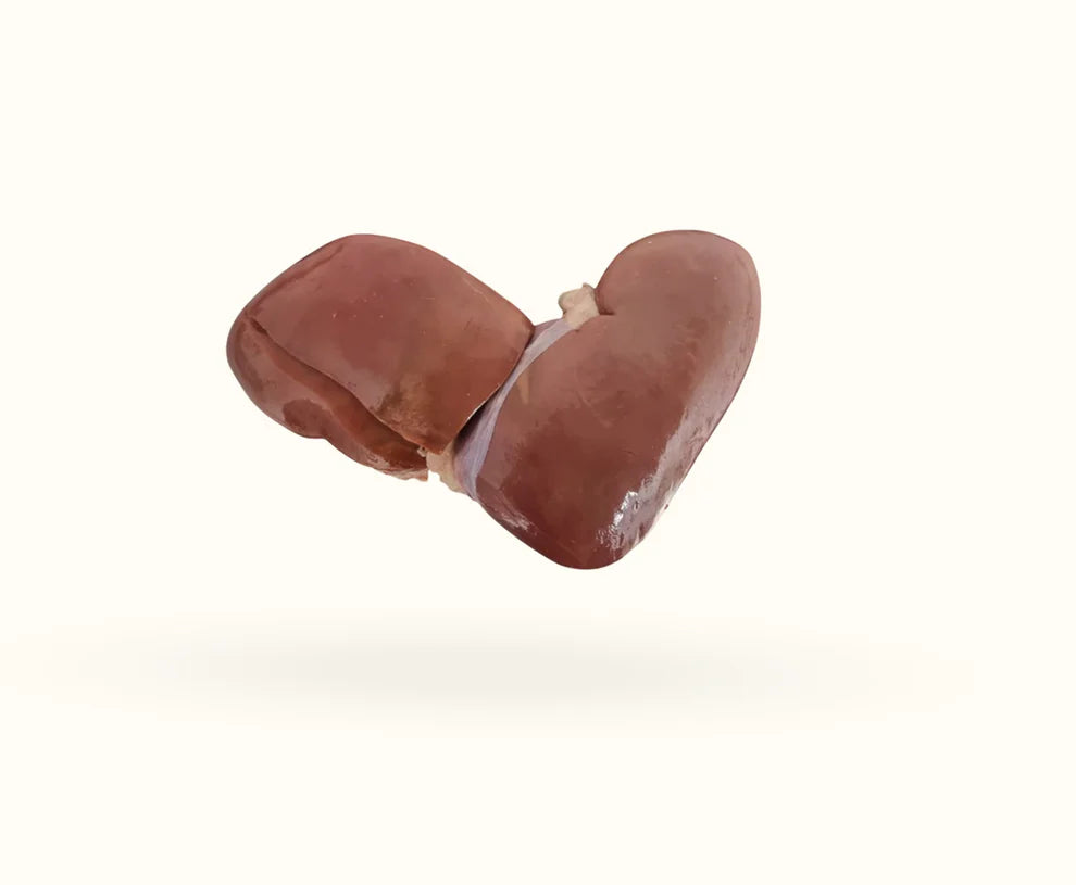 The Dogs Butcher Pork Kidney