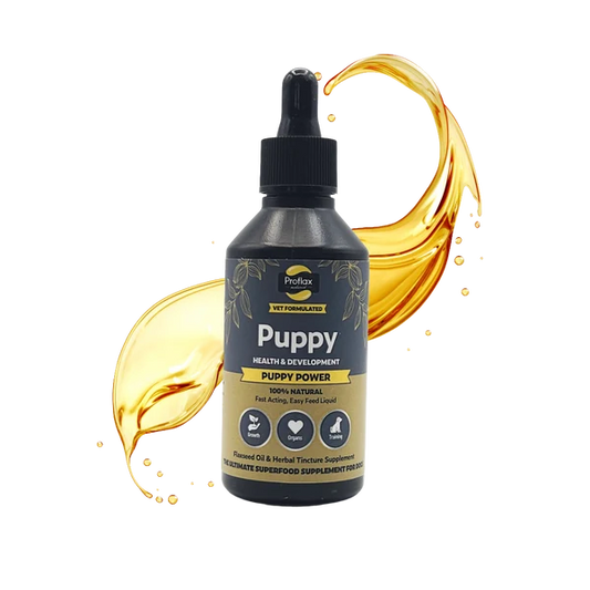 Proflax Puppy Power