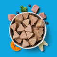 Load image into Gallery viewer, Nutriment Dog Puppy Turkey Frozen Nuggets 1kg
