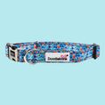 Load image into Gallery viewer, DoodleBone Padded Collar Reef
