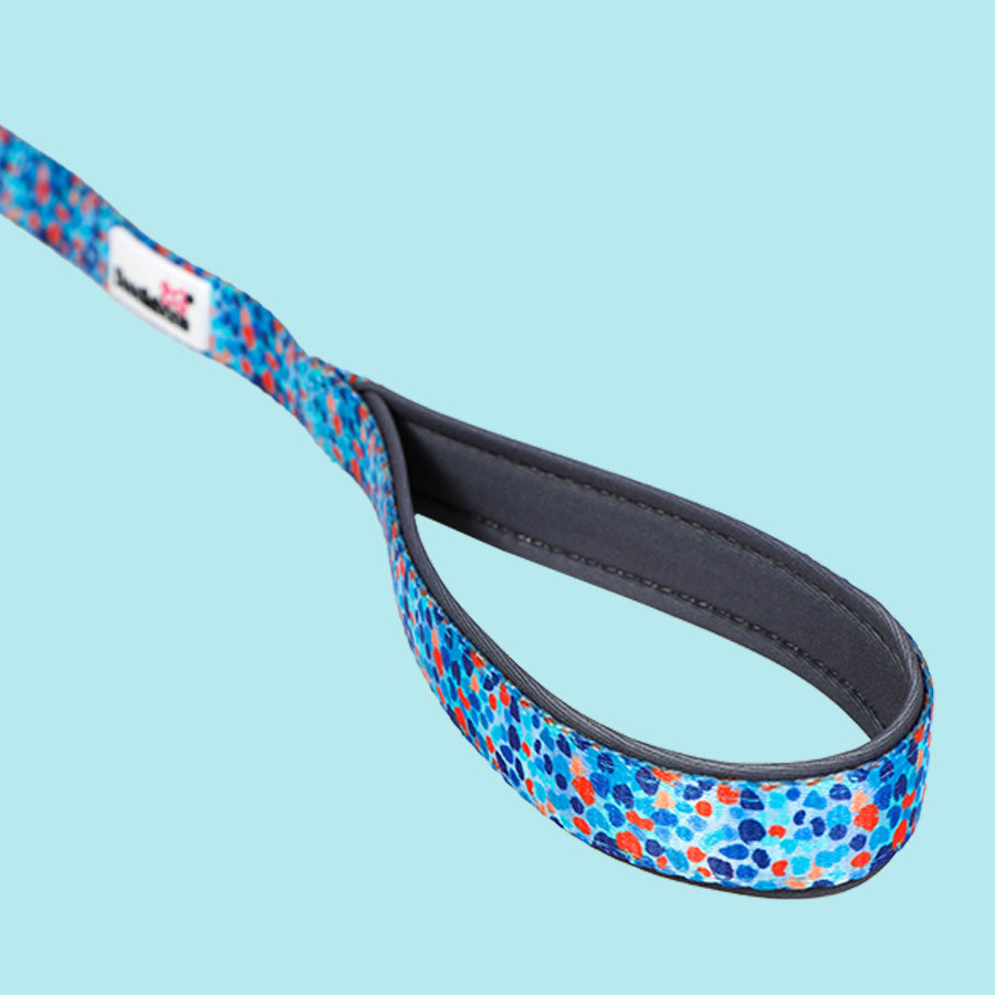 DoodleBone Padded Lead Reef