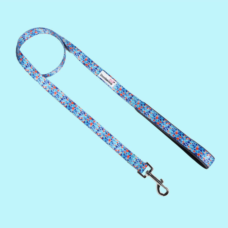 DoodleBone Padded Lead Reef