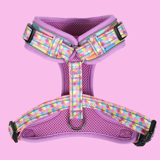 DoodleBone AirMesh Harness Retro