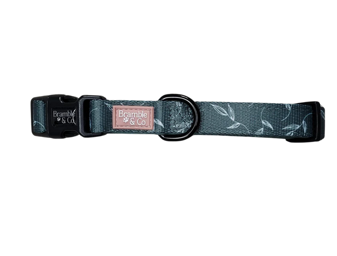 Bramble & Co Fern Baby Fern Adjustable Collar