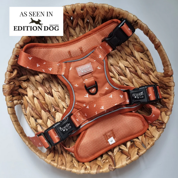 Bramble & Co Autumn Rain Adjustable Harness