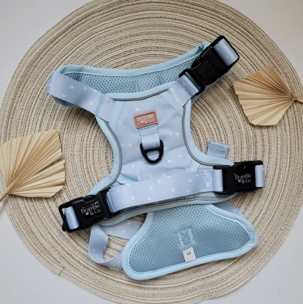 Bramble & Co Beachy Blue Adjustable Harness