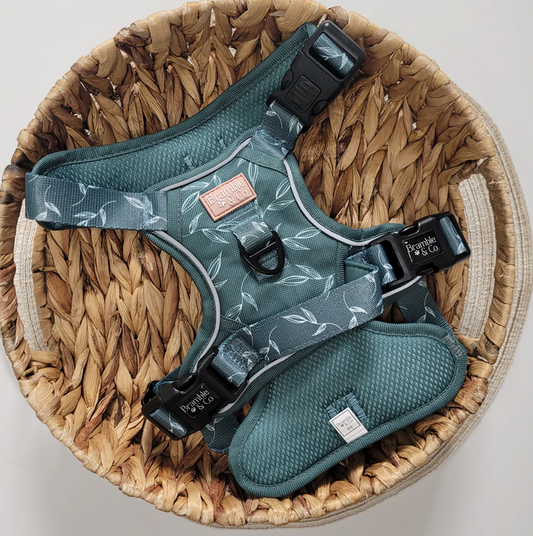 Bramble & Co Fern Baby Fern Adjustable Harness