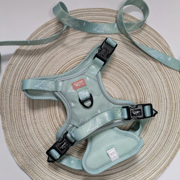 Bramble & Co It's Mint To Be Adjustable Harness