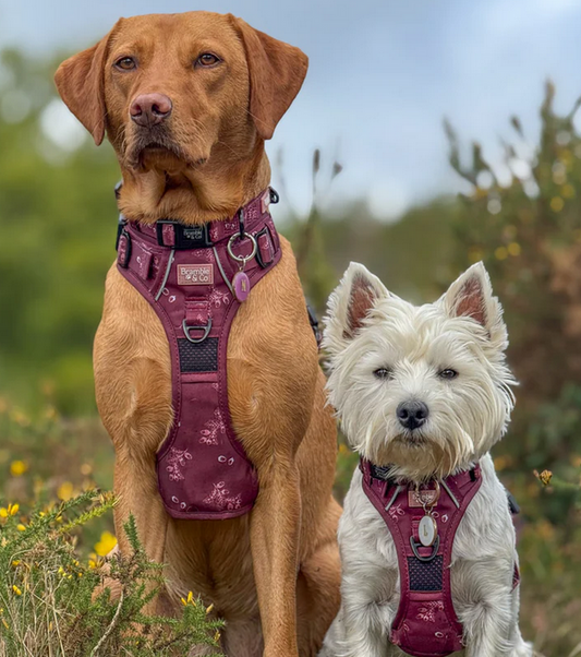 Bramble & Co Wildberry Woodland Adjustable Harness