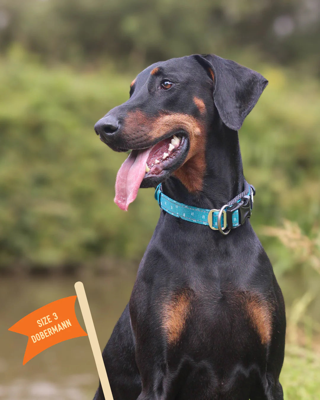 Twiggy Tags Adventure Collar Tranquil