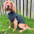 Load image into Gallery viewer, Pawsome Suits Polar Fleece Green
