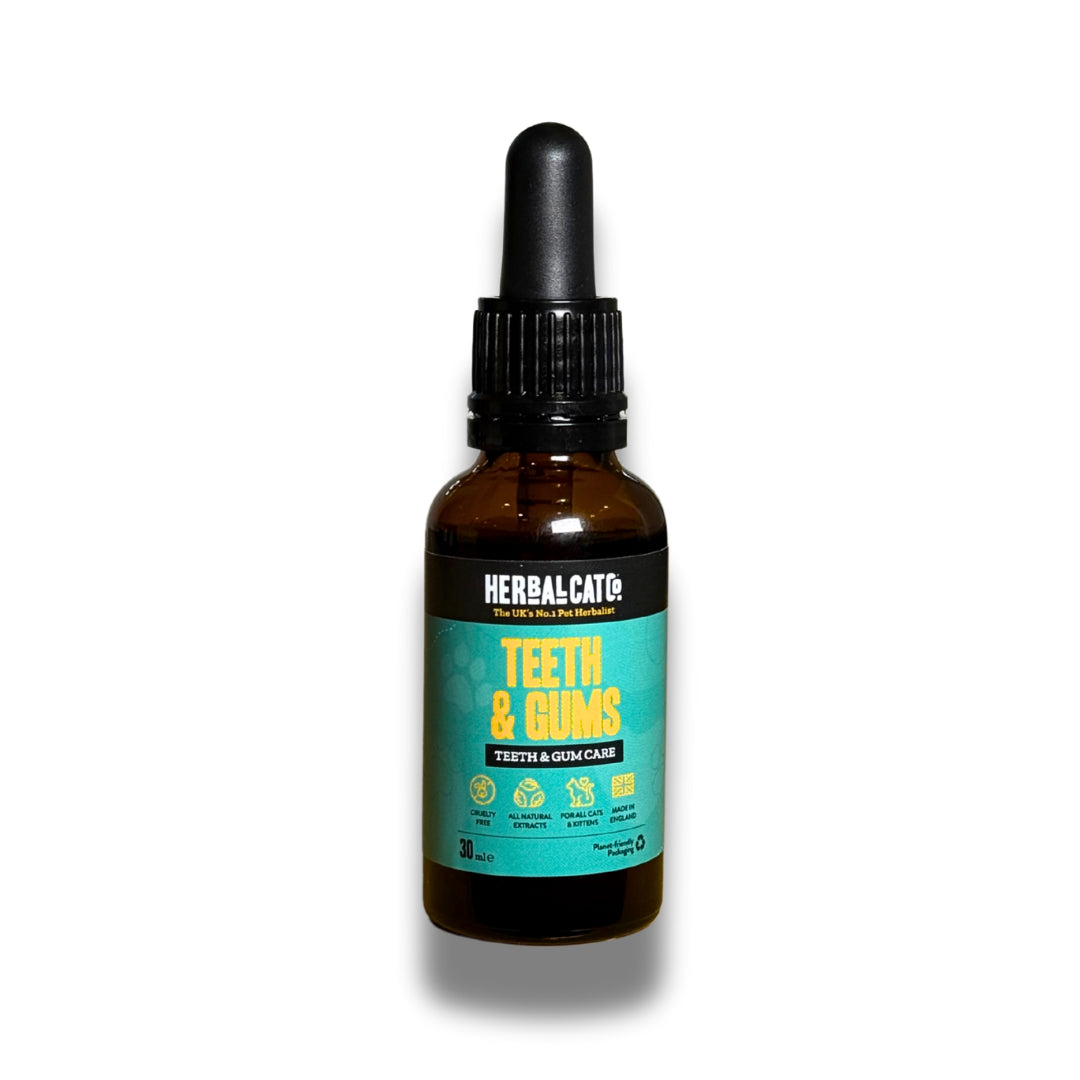 Herbal Cat Dental Care Supplement