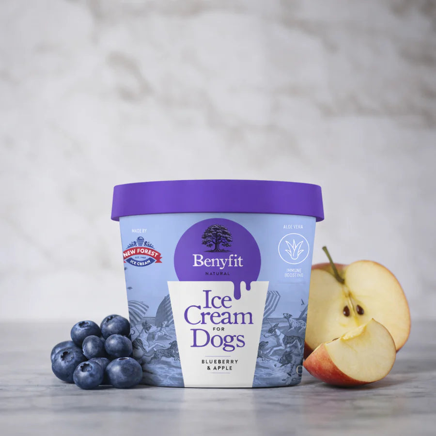 Benyfit Ice Cream