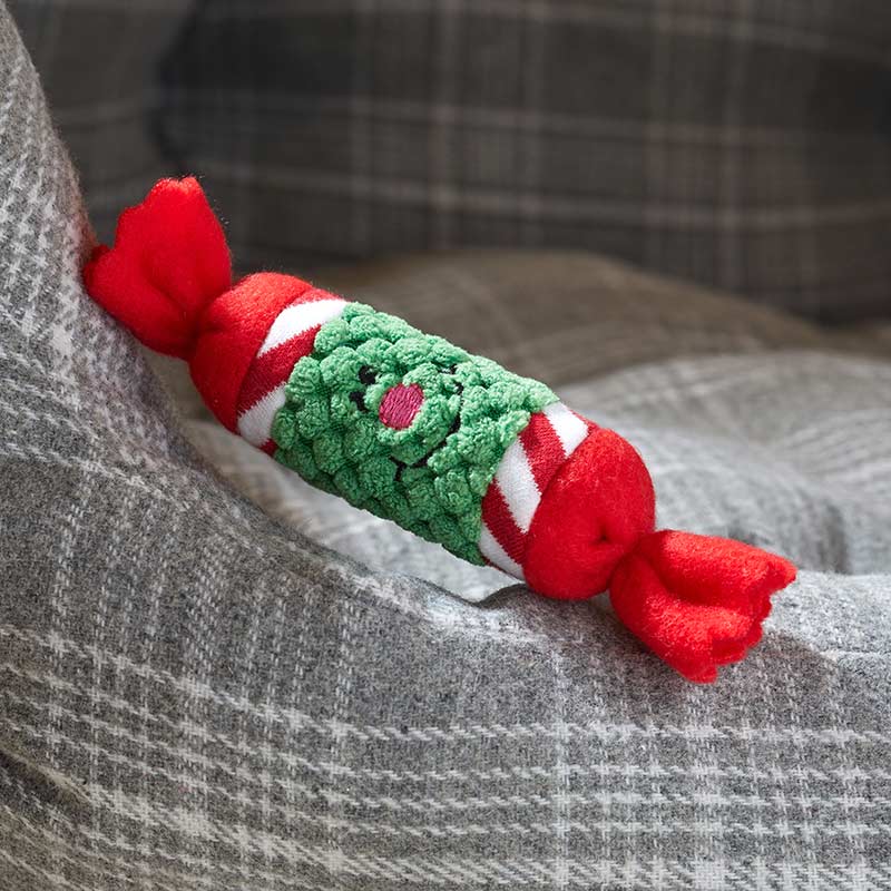 Zoon Cat Nip-It Catnip Cracker