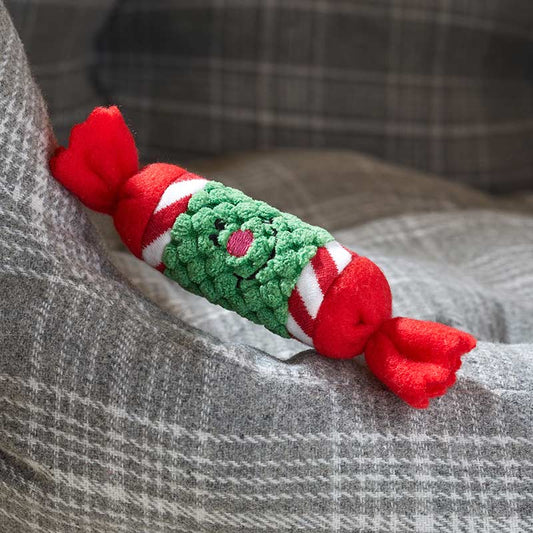 Zoon Cat Nip-It Catnip Cracker