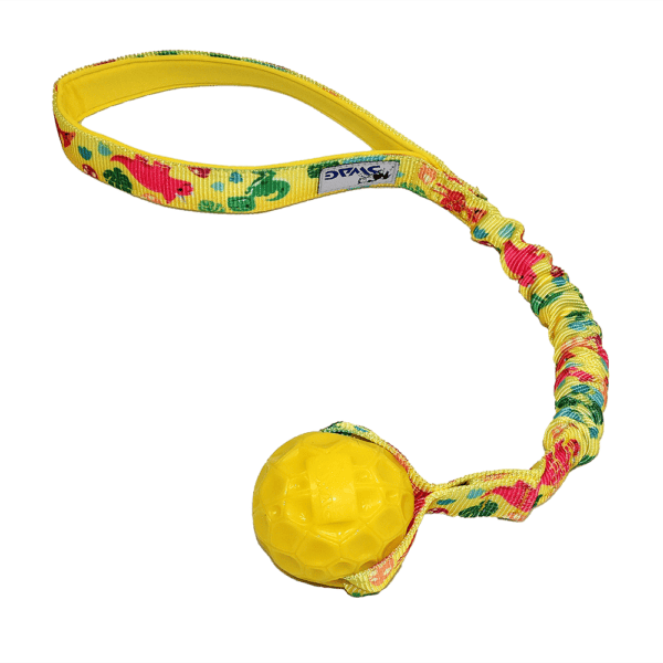 K9 Swag Bungee Geo Ball