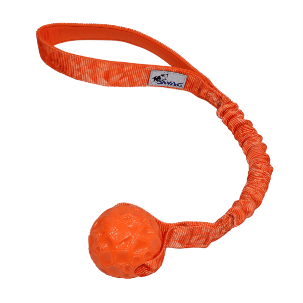 K9 Swag Bungee Geo Ball