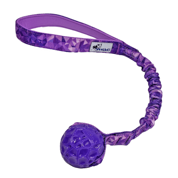 K9 Swag Bungee Geo Ball