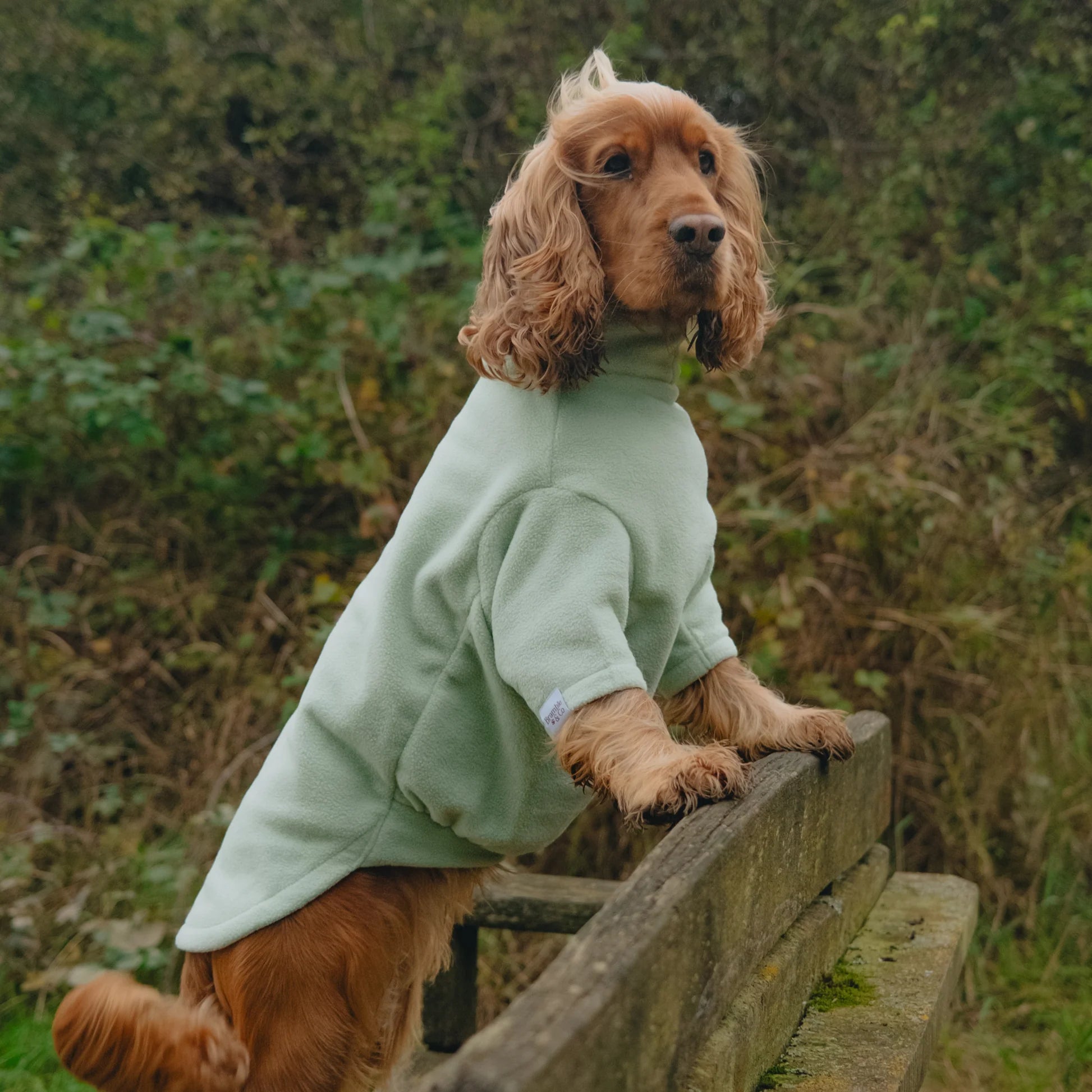 Bramble&Co Fleece Jumper Large