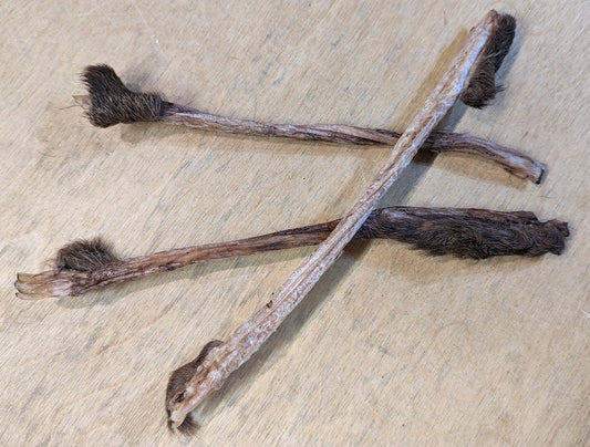 Deer Tendon
