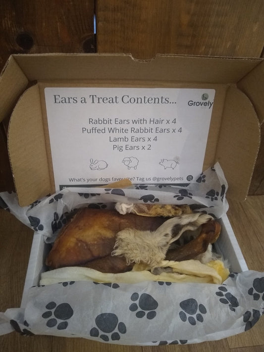 Ears a Treat Box Small