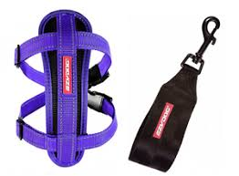 Ezy Dog Chest Plate Dog Harness Purple