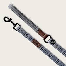 Adorable Pooch Heritage Gunsmoke Range