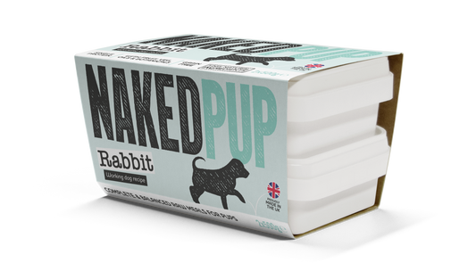 Naked Dog Puppy Rabbit