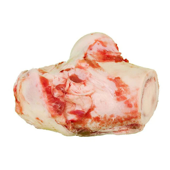 Natural Instinct Playbone Large