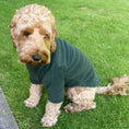 Load image into Gallery viewer, Pawsome Suits Polar Fleece Green
