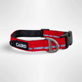 Load image into Gallery viewer, Caird Journey Light Adjustable Collar

