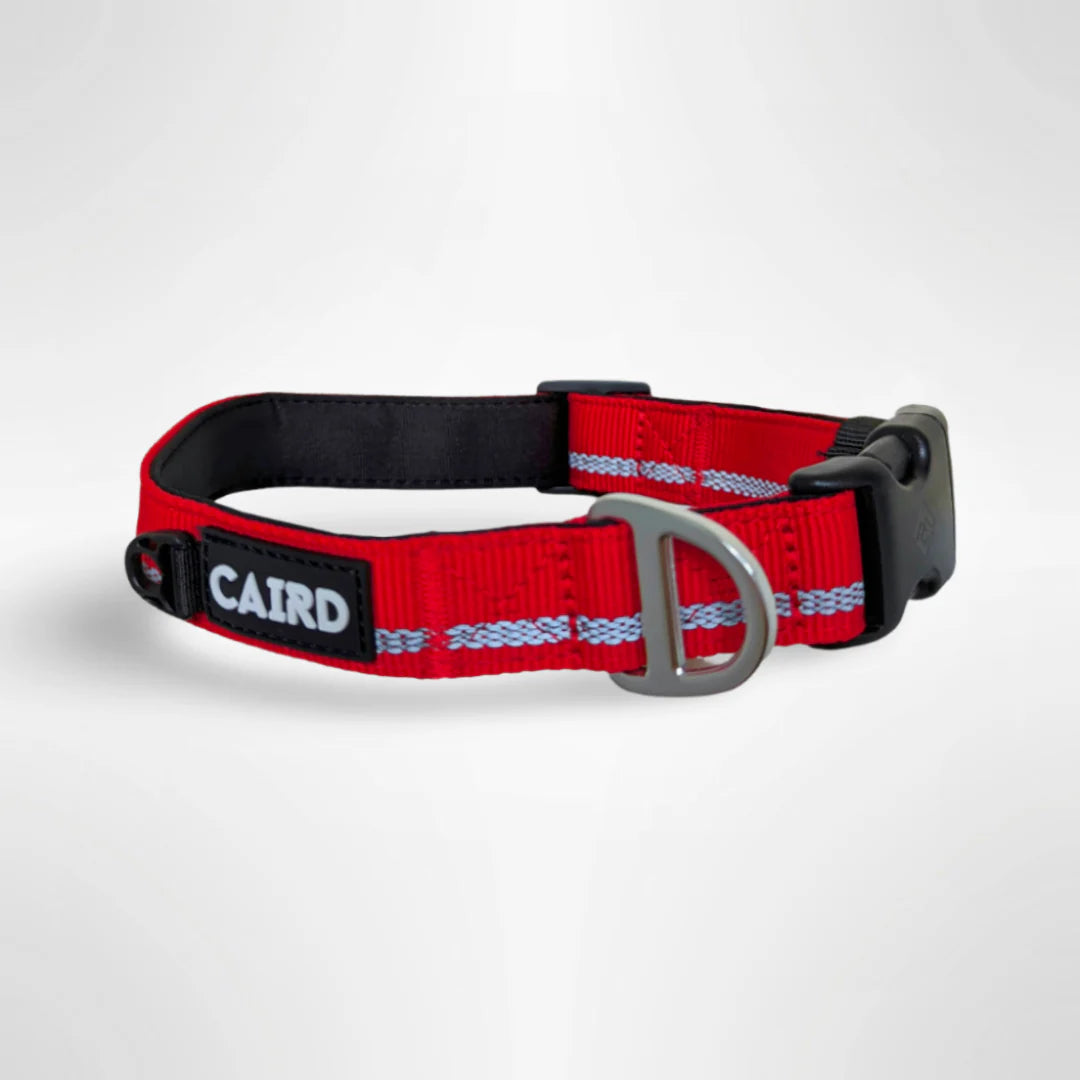 Caird Journey Light Adjustable Collar