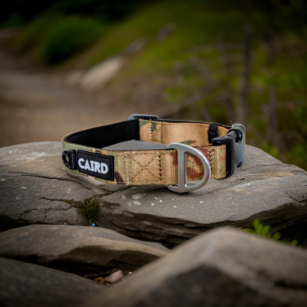 Caird Journey Light Adjustable Collar
