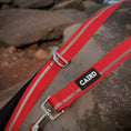 Load image into Gallery viewer, Caird Journey Light Lead
