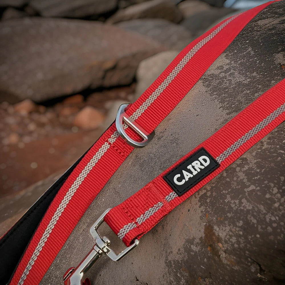 Caird Journey Light Lead