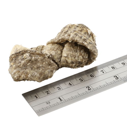 Fish4Dogs Sea Jerky Fish Squares