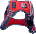 Load image into Gallery viewer, Hem & Boo Sports Harness

