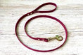 Load image into Gallery viewer, Rock It Dog Biothane Lead 1.2m
