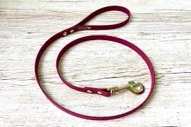 Rock It Dog Biothane Lead 1.2m