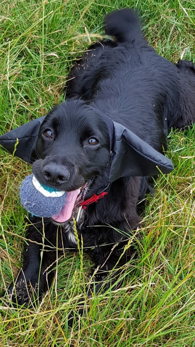 Mutts Ear Mitts Black