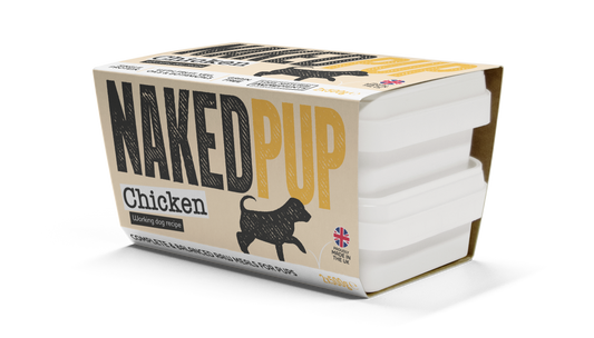 Naked Dog Puppy Chicken