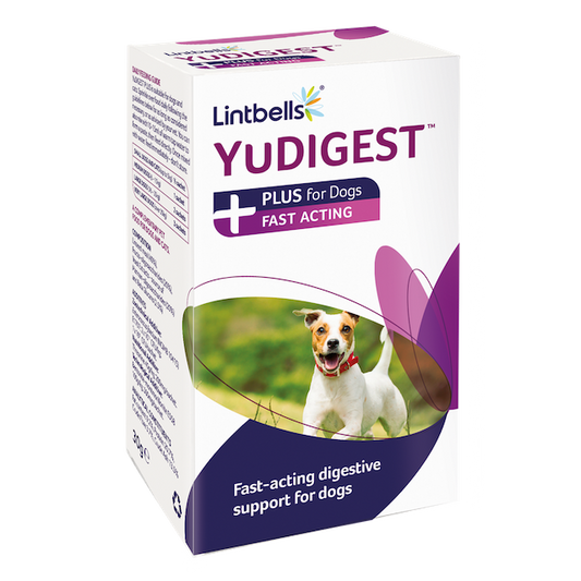 Lintbells Yudigest Dog Plus